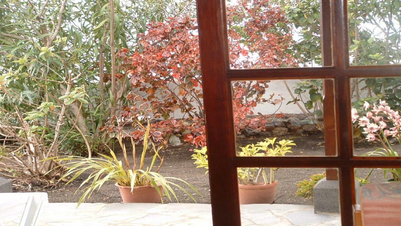 Casa Los Vinedos B Фуенкальєнте-де-ла-Пальма Екстер'єр фото